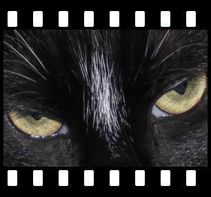 PhotoFilmStrip