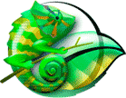 K-Meleon